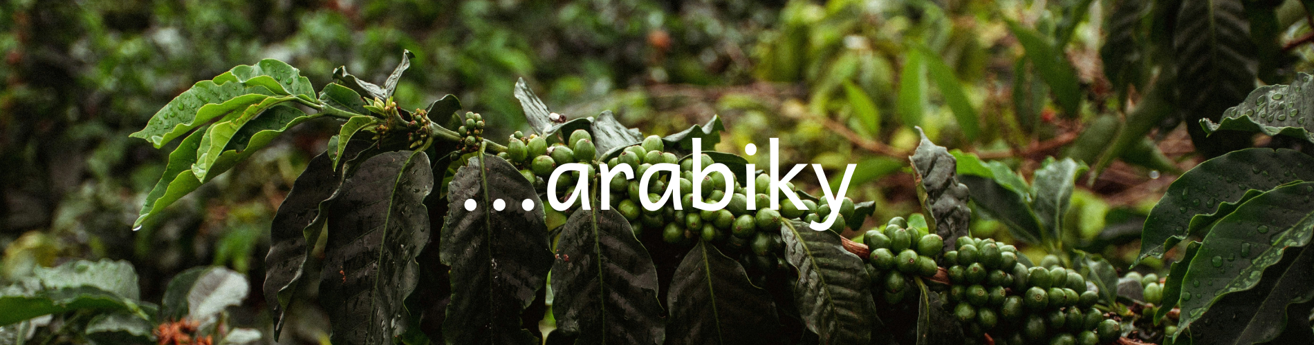 arabiky II